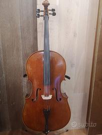 violoncelli