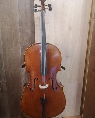 violoncelli