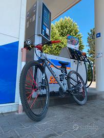 Wheelie bike 29
