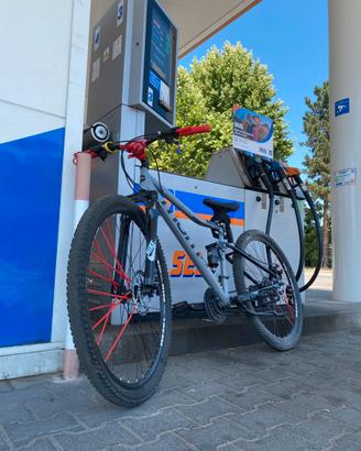 Wheelie bike 29