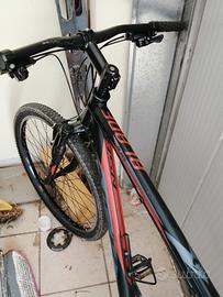 bicicletta MTB 