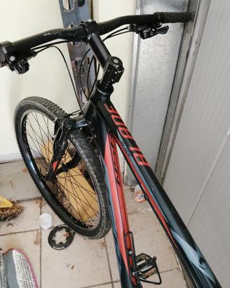 bicicletta MTB 