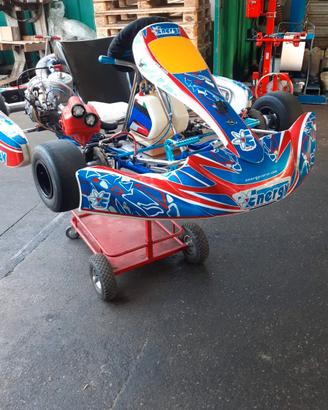 kart 125 KZ TM 
