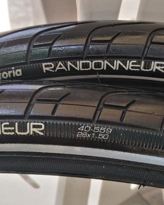Pneumatici Vittoria Randonneur 