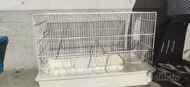 gabbia cova per uccelli 