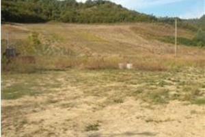 RGE 79/2015 - Tribunale di Urbino - Lotto 1