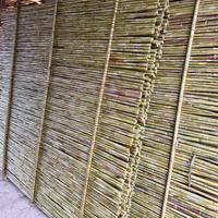 Pannelli in canna palustre