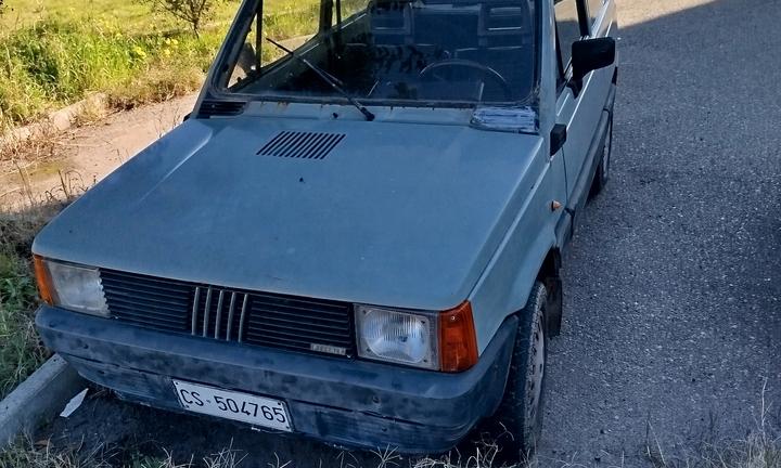 Fiat Panda 4x4 141