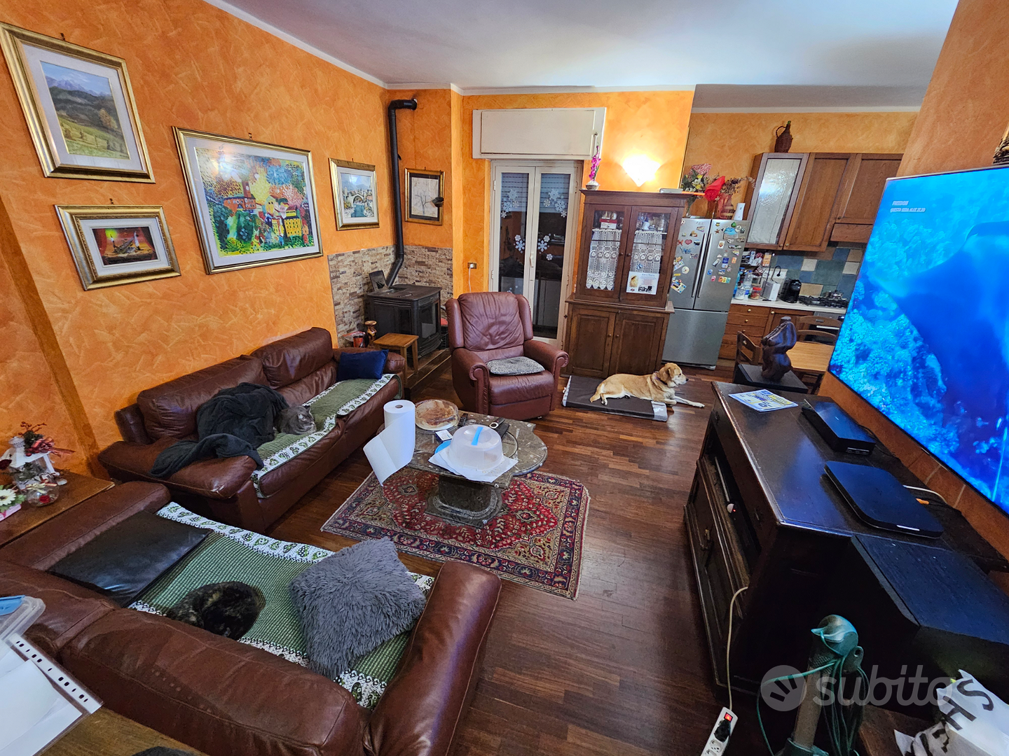 Appartamento – Carpineto Romano, Roma Capitale - Vista 5