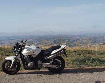 honda hornet 919