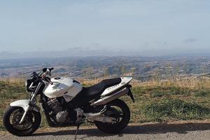 honda hornet 919