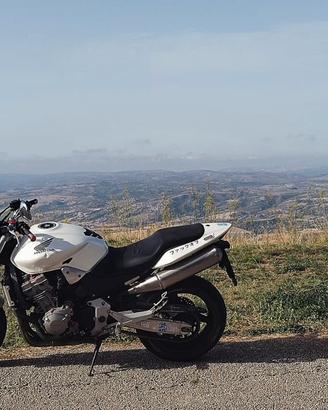honda hornet 919