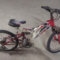 bicicletta bambino economica