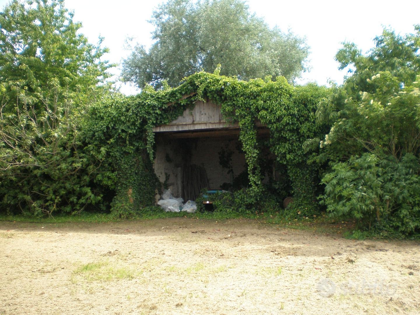 Terreno con ruderi e verde alle porte di Ravenna - View 6