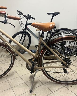 Bicicletta da donna Vicini