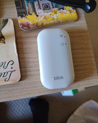 Blink module sync