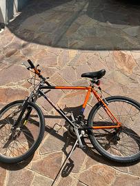 Bici montabike mountainbike