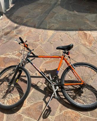 Bici montabike mountainbike