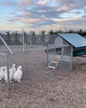 Pollaio in Ferro Bantam PLUS | Con Recinto