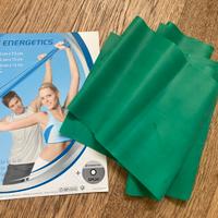 Fascia elastica