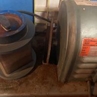 Buratto Mario di Maio"