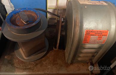 Buratto Mario di Maio"