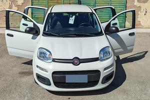FIAT PANDA 3a SERIE, 2021