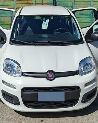 FIAT PANDA 3a SERIE, 2021