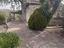 Immagine 21