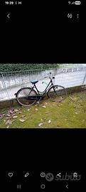 bicicletta freni a bacchetta 
