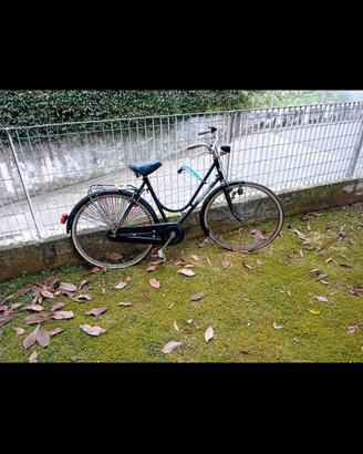 bicicletta freni a bacchetta 