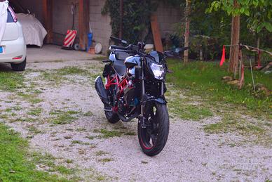 Benelli BN 125 - 2025