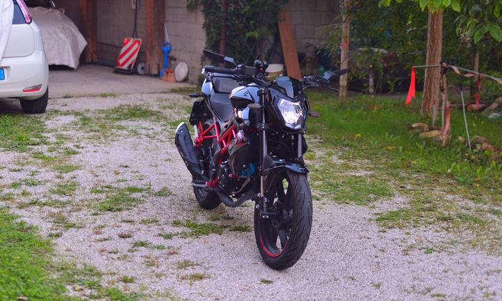 Benelli BN 125 - 2025