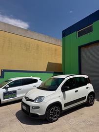 Fiat Panda 1.0 FireFly S&S Hybrid Pandina