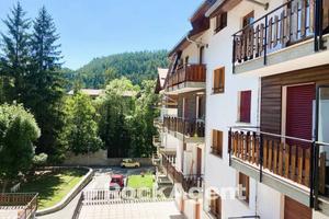 BILOCALE AMPIO E SOLEGGIATO