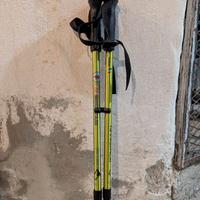Bastoncini da trekking