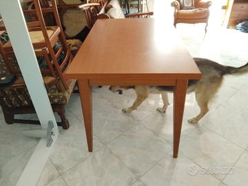 Tavolo con 6 sedie