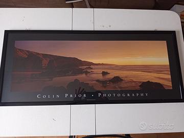 Stampa COLIN PRIOR  103 X 43