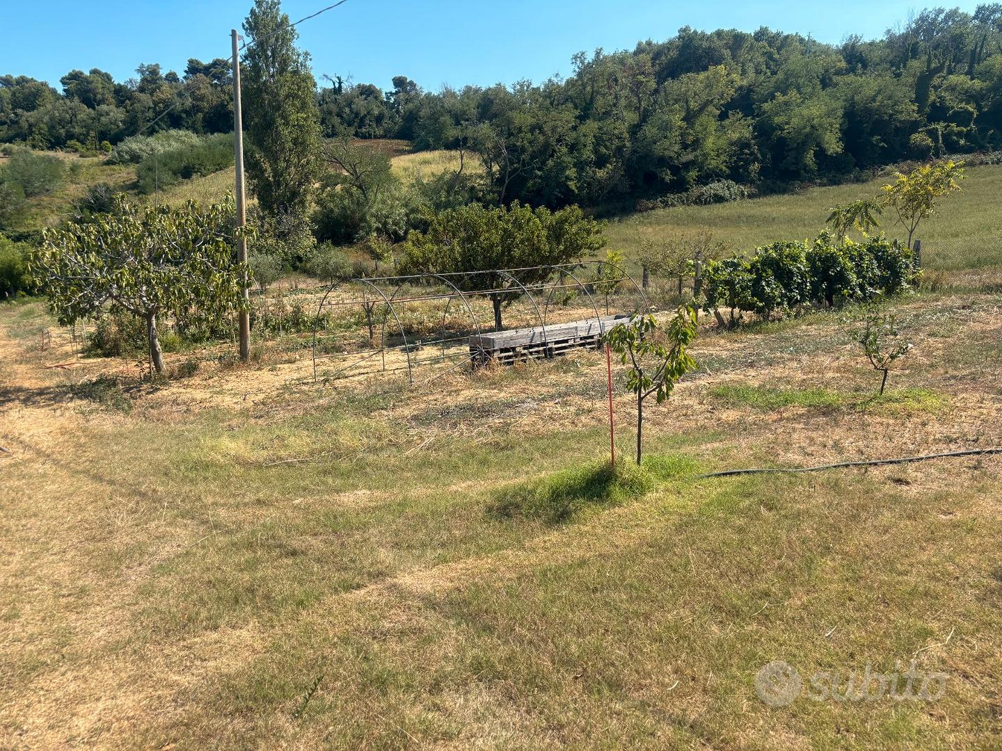 Terreno agricolo a fano - Altro