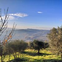 Coppia custodi casieri