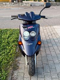 Malauguti f10