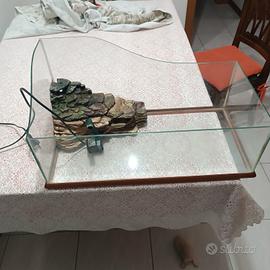 acquario tartarughe o pesciolini