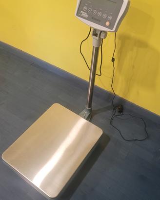 Bilancia Scale House AFWD300