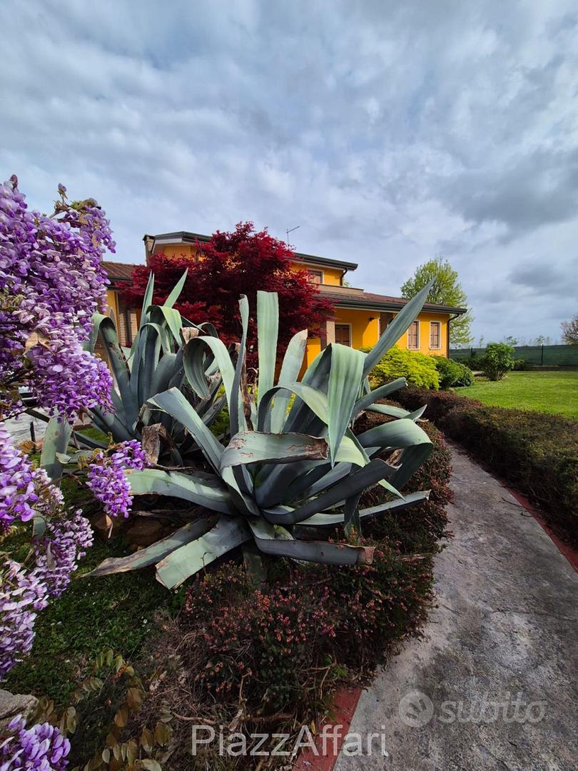 House in Brugine, Zona Buzzaccarina - Vista 5