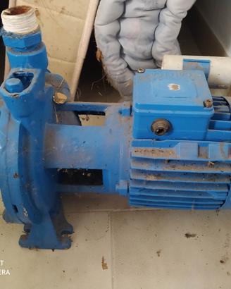 Pompa pozzo calpeda 220 volt
