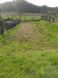 Terreno in zona "Collio"
