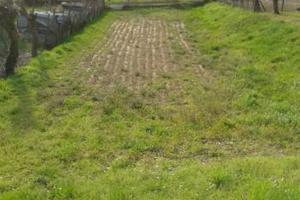 Terreno in zona "Collio"