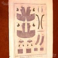 Abiti maschili - incisioni originali del '700