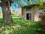 Immagine 22