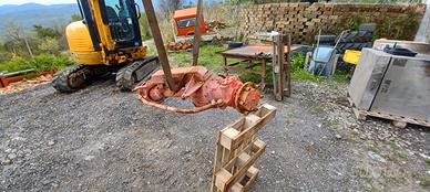 Ponte differenziale sterzante